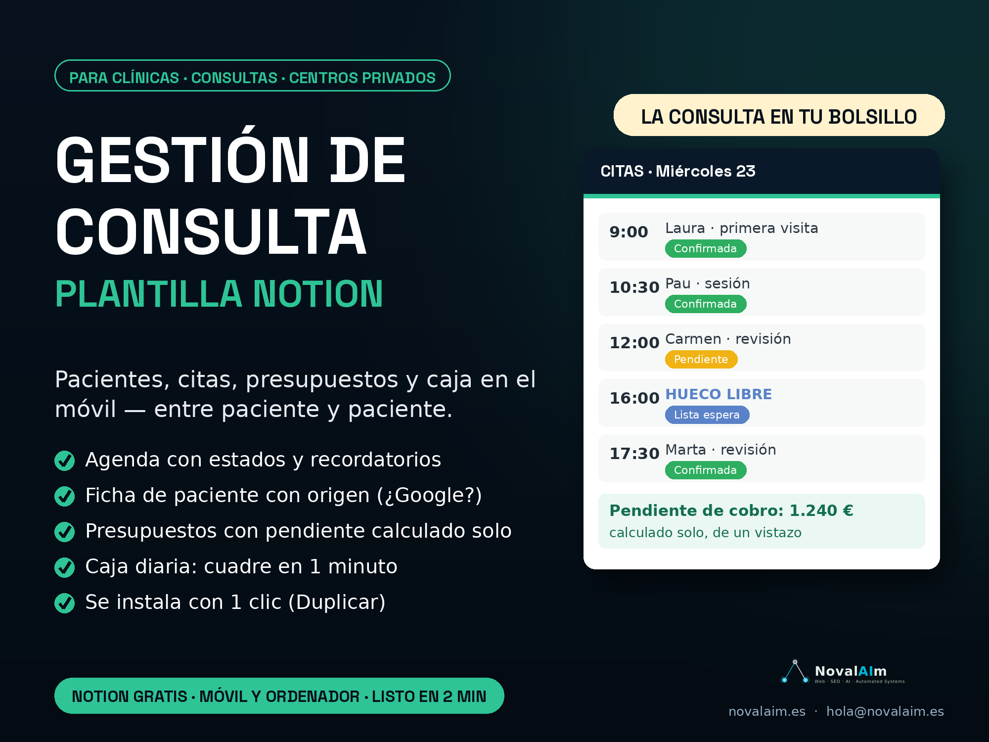 Portada Gestión de Consulta Notion